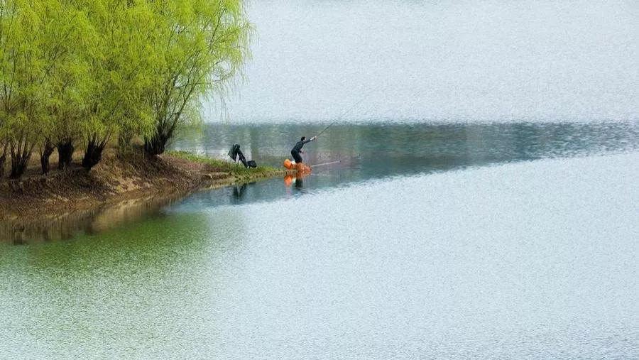 |说好的大板鲫跑哪了？春季的三阶段鱼情不同，出钓要带出节奏