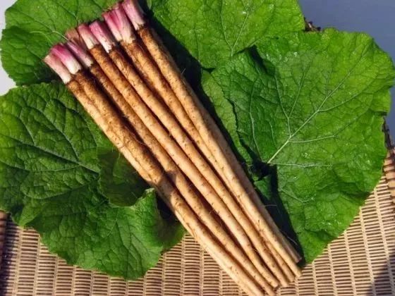 买年货,选地理标志产品准没错!(上篇)