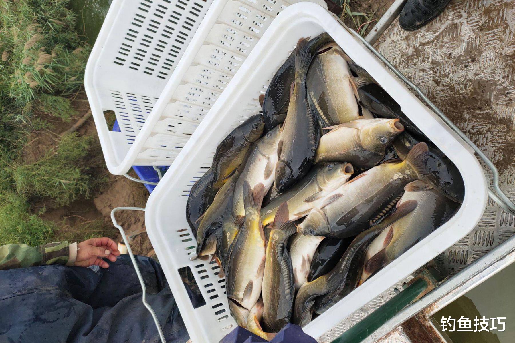 饵料|鱼不下底咬钩是什么原因?钓鱼时鱼不下底咬钩的几个主要原因