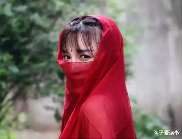 被“资本”捧红再丢弃？赚22亿仅得300万，“李子柒”毁了李子柒