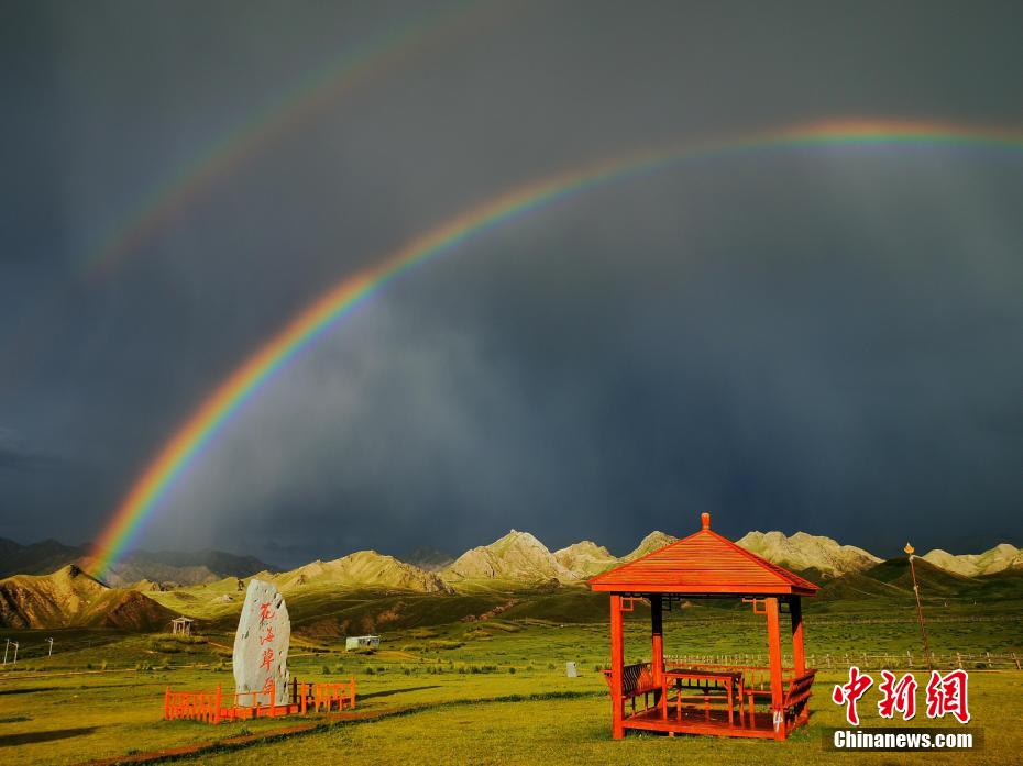 青海|青海都兰海寺花海雨后美景如画