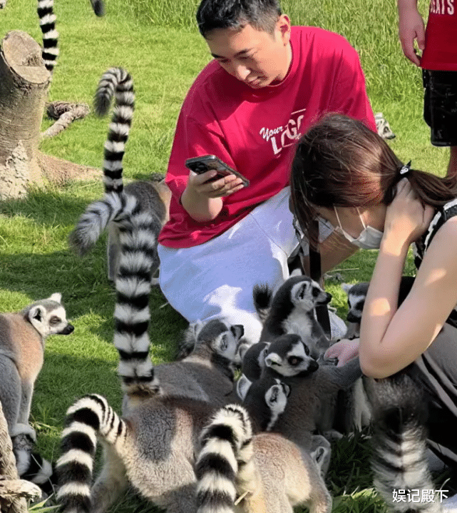 王思聪|被封杀依旧潇洒，王思聪带四位美女游玩，几个女人相处超和谐！