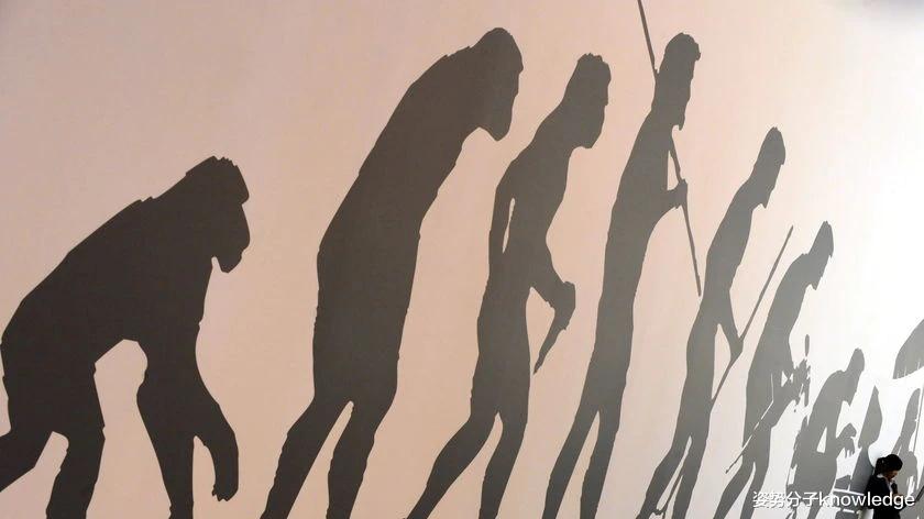 100万年后,人类会变成什么样?会与AI结合吗?