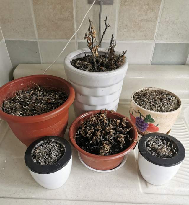 答应我,别再把这8类物品往家搬了,只会离“极简生活”越来越远