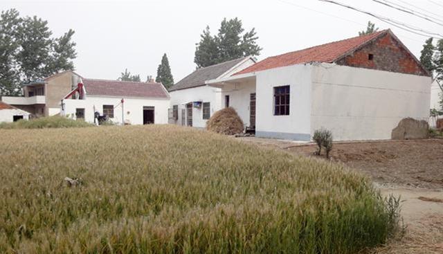 案例:男子自建地窖囚禁3名少女,因排泄物太臭打开门通风被发现