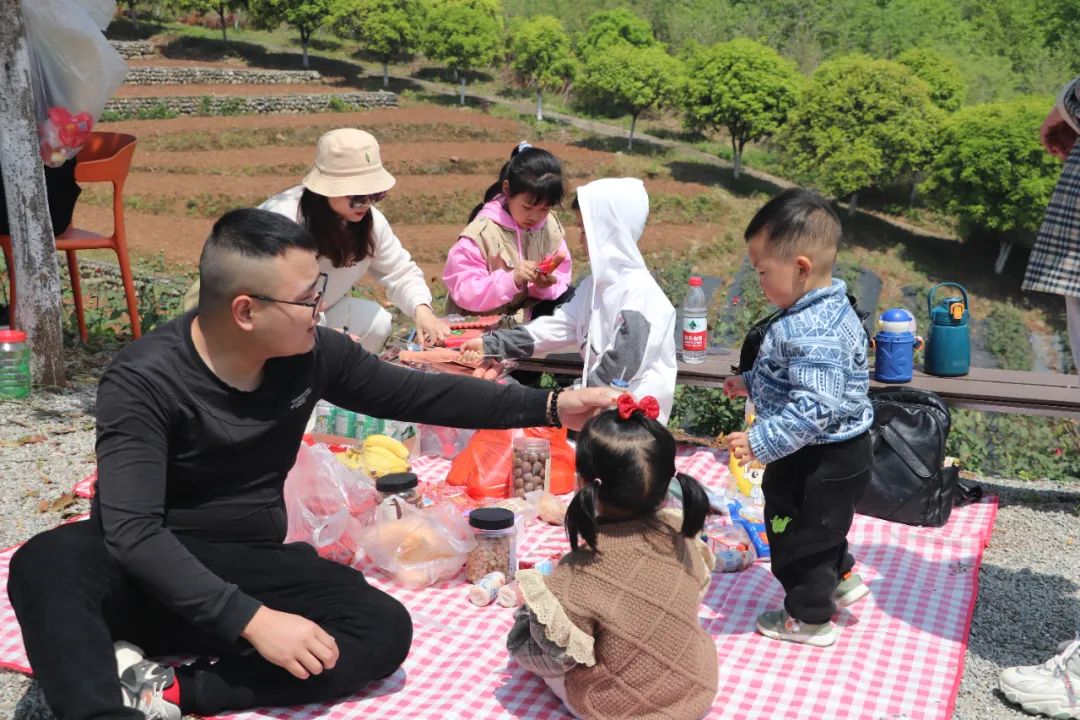 |徽州区:茶博五一享美味 平安无疫醉花海