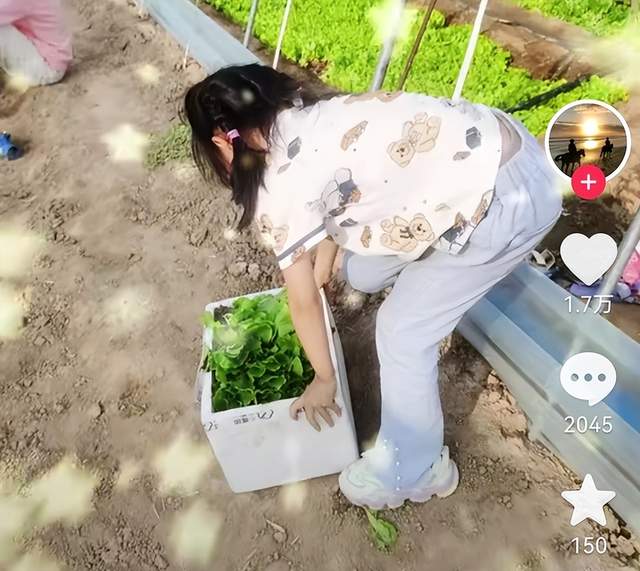 直播带货|田静带全家直播带货，陷入舆论后全家大棚干活，奇奇悦悦捧场卖力