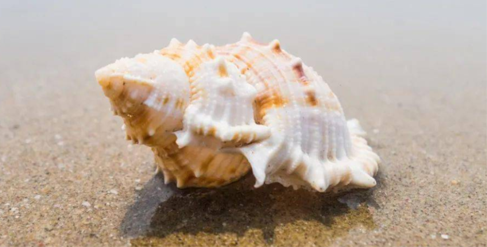 招聘|随时为自己“充电”