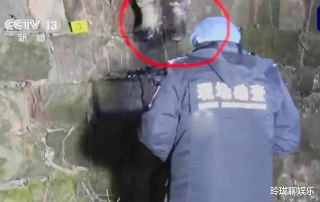 胡鑫宇|胡鑫宇案官宣,网友不死心,打算用同款鞋带吊60公斤猪,吊106天。