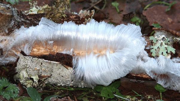 10个超罕见的自然现象，最后一个除了震撼，我已完全无话可说！