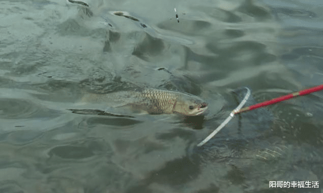 |三种自然现象最好不要下竿！多数钓友被坑！老板：今天又是好日子