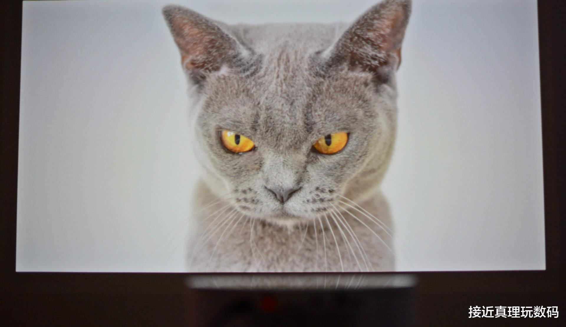 苹果|坚果G9S测评:3000元的价格,配置和画质却堪比旗舰机