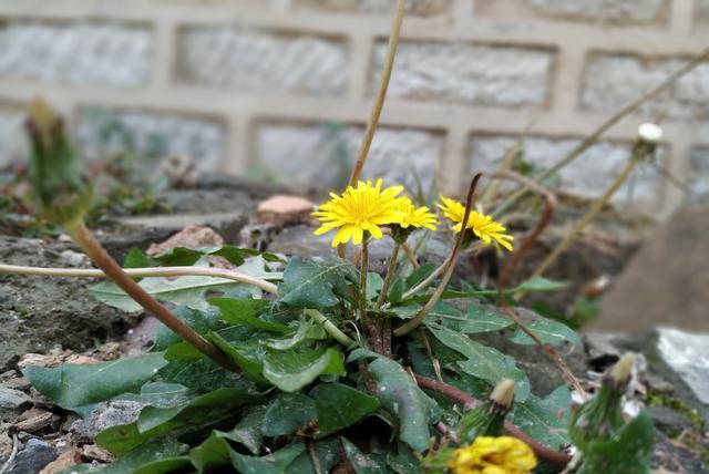 运动|好消息：新的“血糖标准”或已公布，这个范围内，你的或许并不高