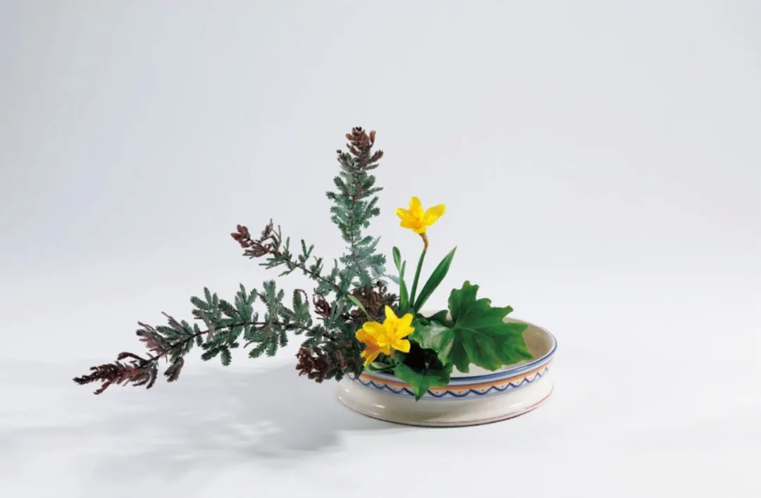 “插花”和“服装陈列”共有的一个规则:三角构图