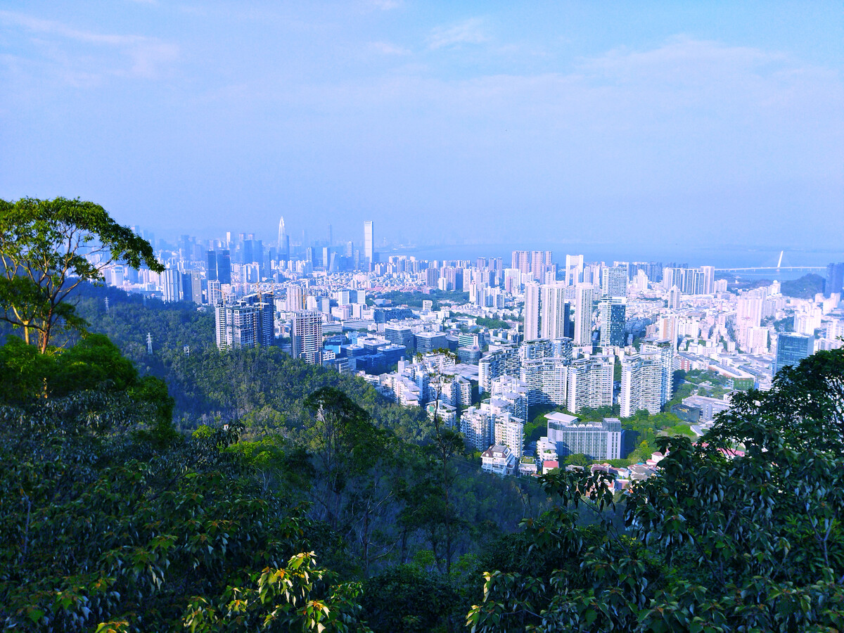 滨江|花69w买一房我在深圳南山地铁口附近安家了