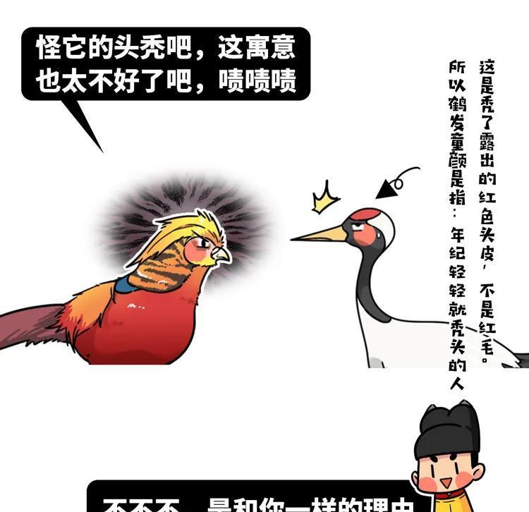 来自中国国鸟候选的质问：凭什么熊猫不是猫，我叫鸡就真是鸡了？