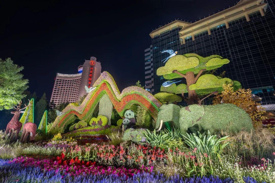 上海市|花了三个晚上，打卡长安街沿线14处立体花坛，夜景比白天更靓丽！