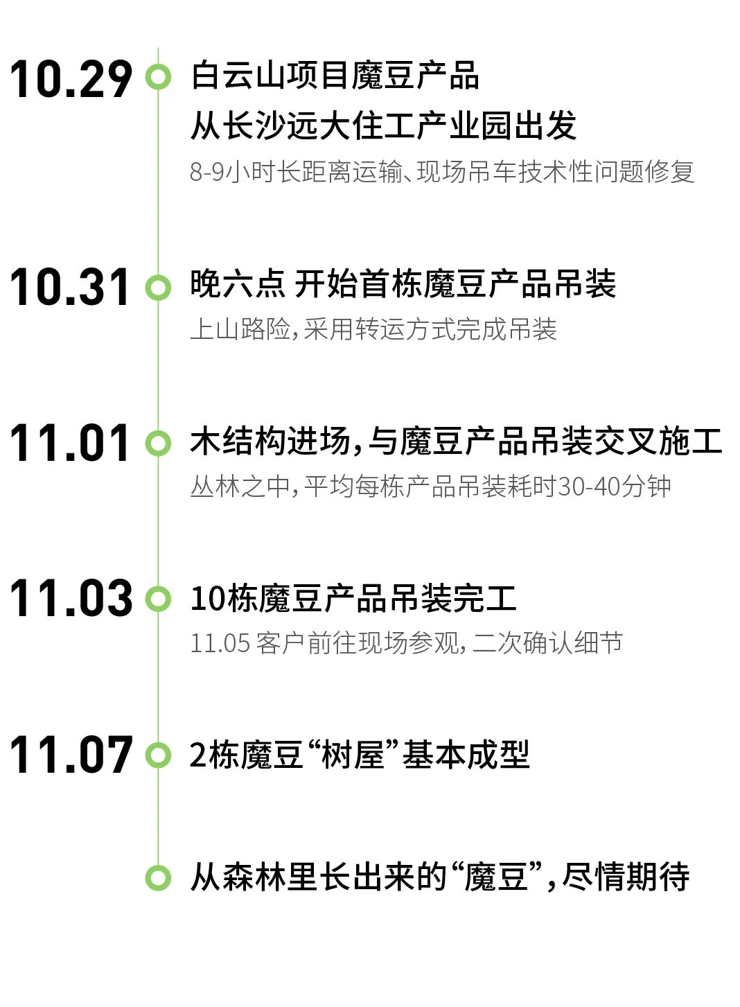 魔方湘西·续章再启｜见证从白云山森林里长出来的“魔豆”