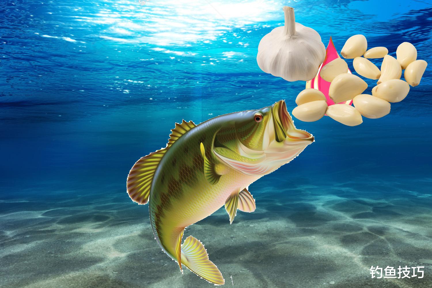 黎明之海|大蒜还能用来钓鱼?鱼为什么喜欢蒜味?用大蒜钓鱼的技巧