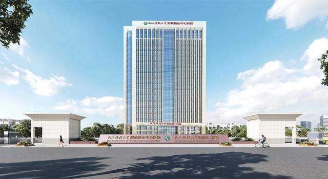 |武汉科技大学医院:在探索中发展,迈上区校合作发展新征程