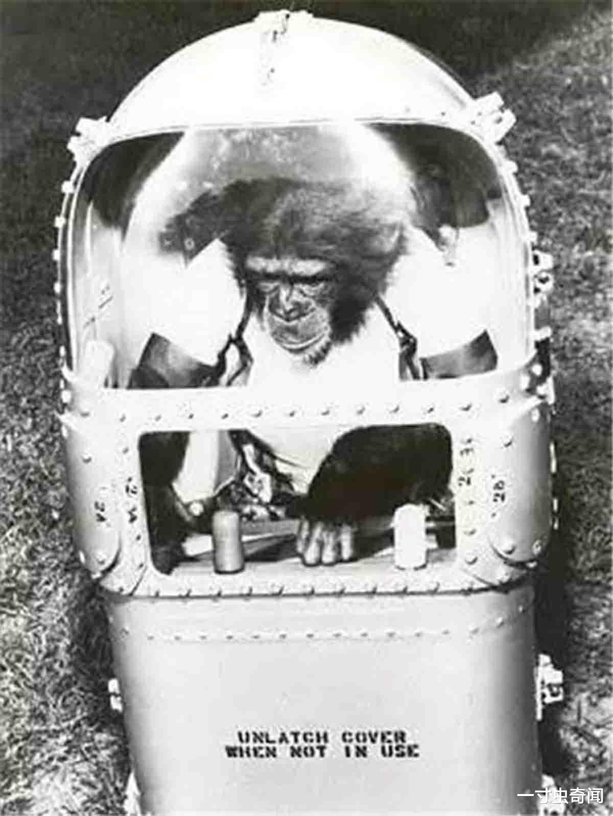 动物宇航员不只是“窜天猴”，作为先行者，其功绩已载入航天史册