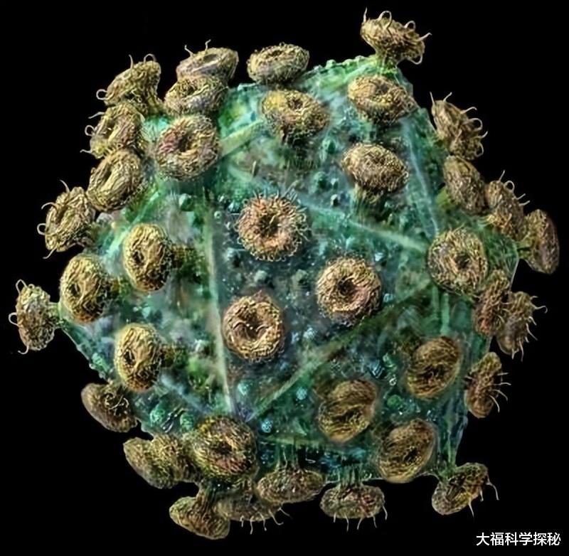 病毒才是地球的主人,列举世界五种超强病毒,或可改变人类命运