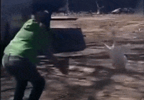 邓紫棋|邓紫棋打扮精致开直播，却被网友质疑整容，立刻揉捏鼻子证清白