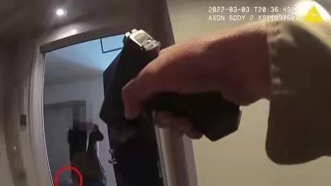 汉阳|50万美金买的房子被3.2万拍卖，业主持刀反抗却被击毙，身中18枪