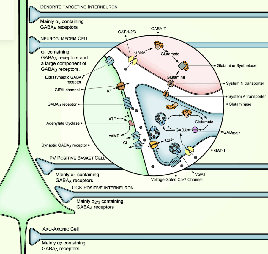支付宝|在淘宝,你甚至能买到催情“听话水”