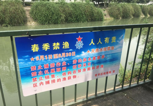 |3月到6月四川天然水域禁止垂钓, 缓解需求将建5至10个休闲垂钓基地