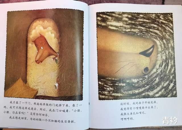 感冒|《三只小猪的真实故事》：一次重感冒和一杯糖引发的误会