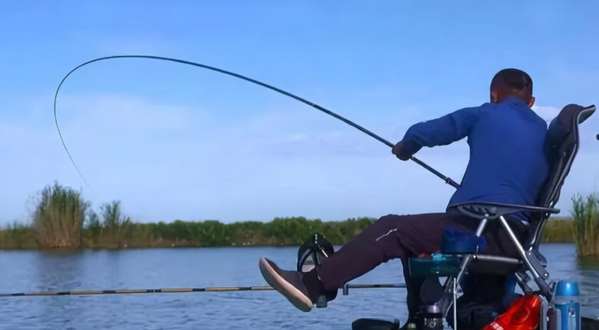 饵料|窝中进了大鱼,想把它们钓上来,还要做好以下几件事