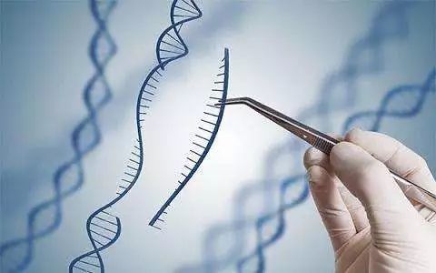 基因编辑将成为最重要的技术,或许能够决定人类的未来