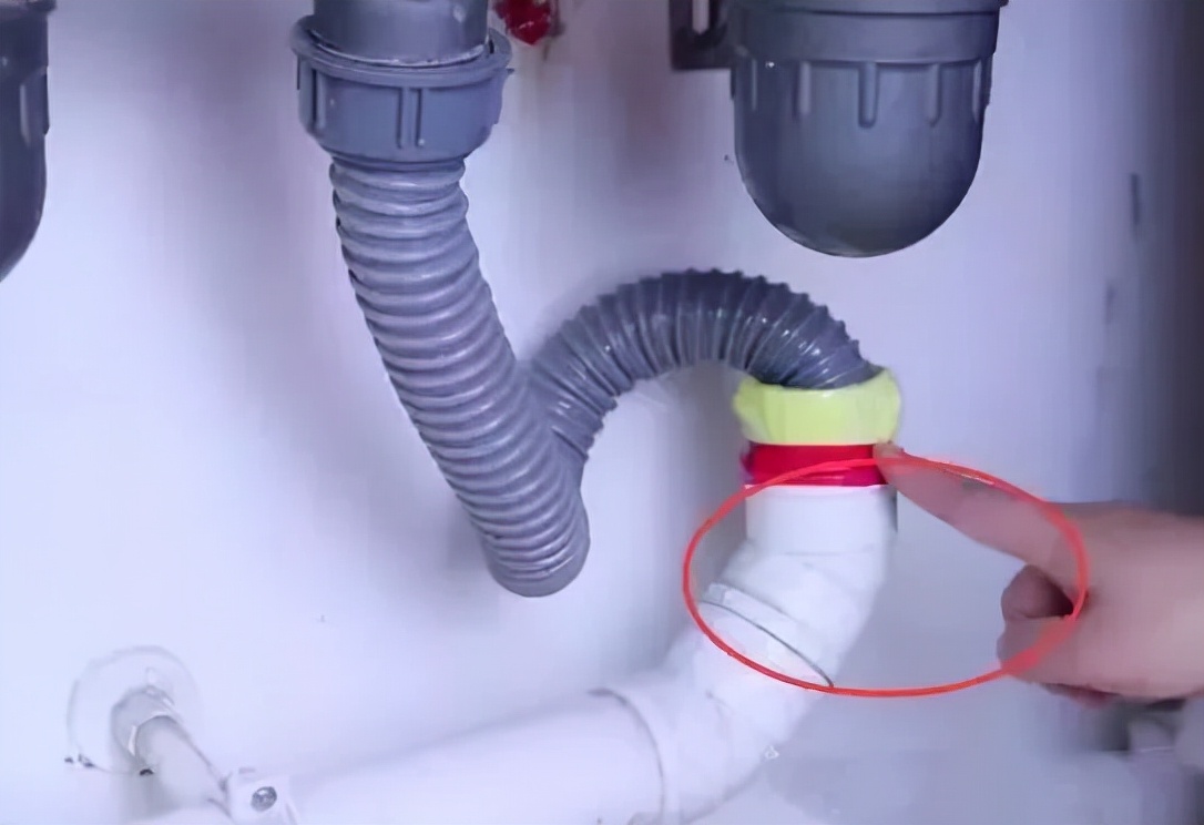 卫生间都是小飞虫惹人烦？我只做了3件事，整个夏天再也不出现了