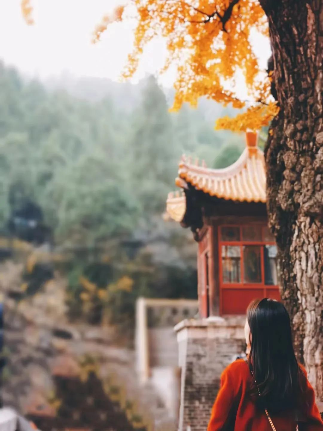 石林|比苏州更江南，小吃堪称一绝，这座低调的北方水城，秋天美翻了