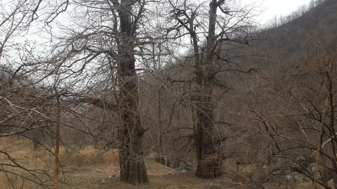 荷花|正月骑行伏牛山（第四天）——绕白河镇，遇大雪封山