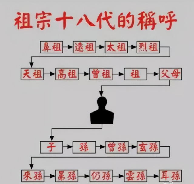 上海市|“客厅养树,十有九富”!老祖宗留下的“规矩”,说的太有道理了