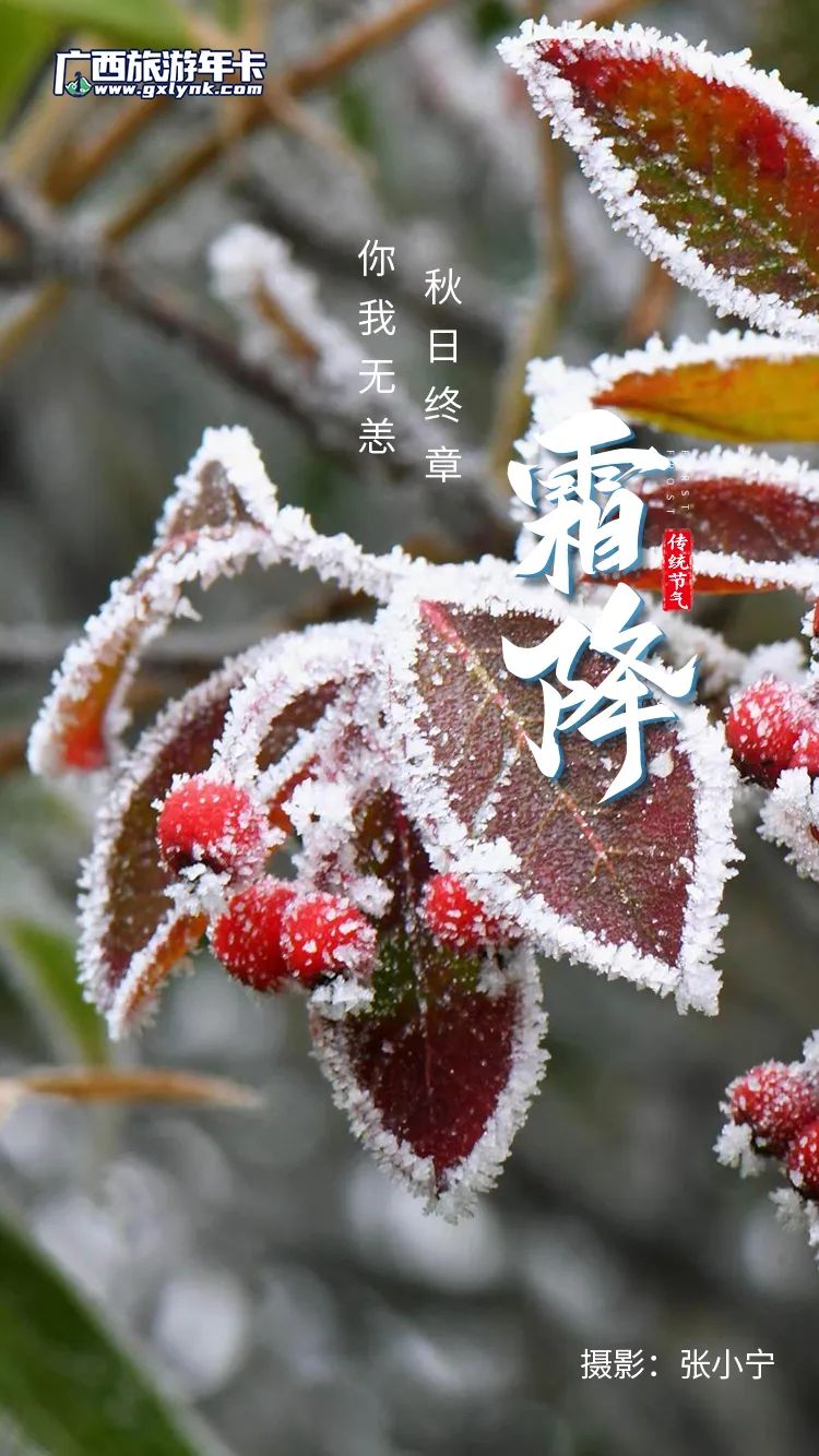 霜降|今日霜降，又见独特风景线！| 广西旅游年卡