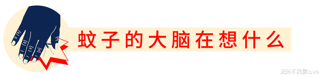 博士用自己的血一天喂3000只蚊子,终一作发Nature揭示“蚊子怎么只咬你”