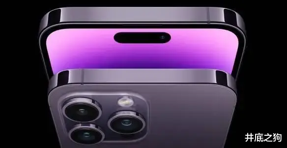 |罗永浩：iPhone14Pro现在脸上涂屎，再把屎的颜色调整