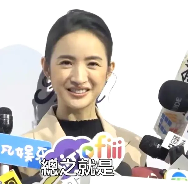 林依晨|林依晨最新状况引争议!