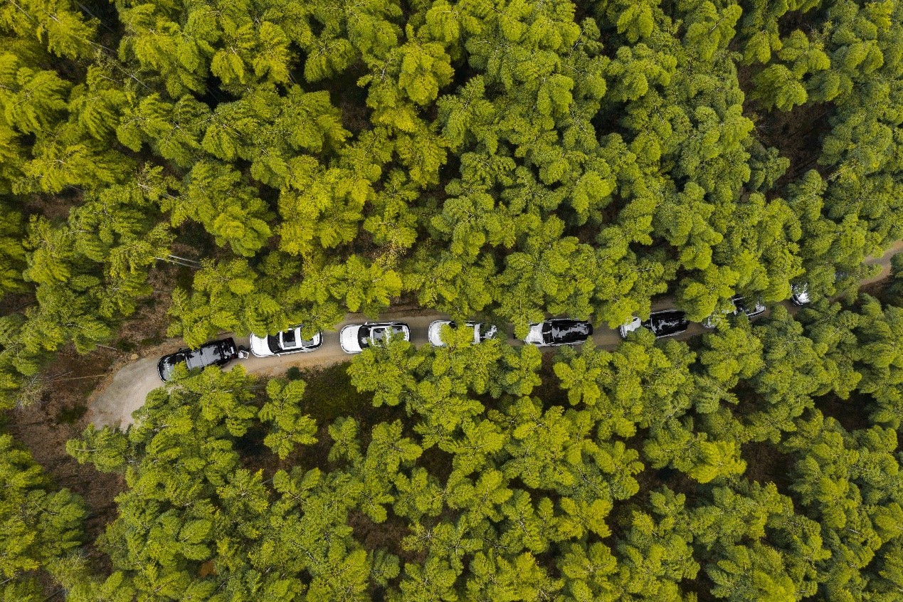 日照|大暑至,开启户外模式