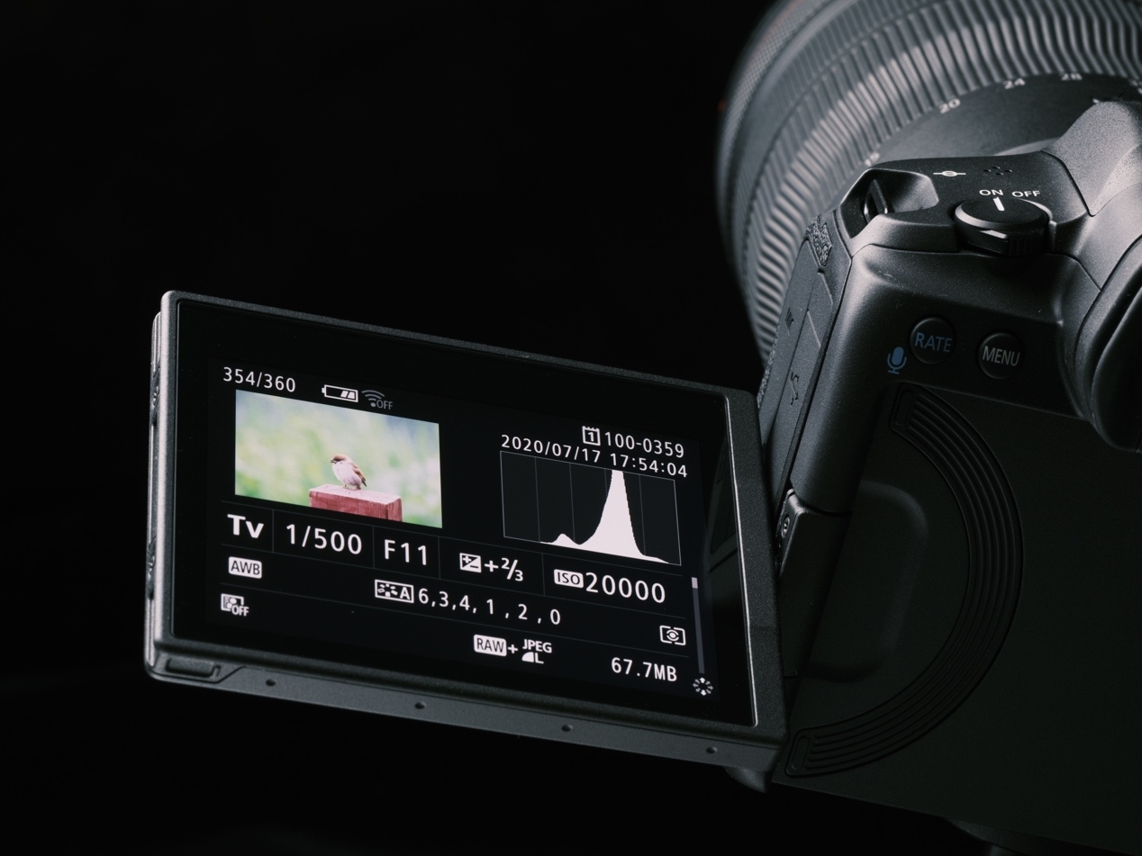 iPhone|佳能EOS R5测评:新一代打鸟神器