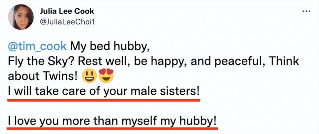 蒂姆·库克|大家有所不知,其实这两年,苹果CEO库克的日子可不好过