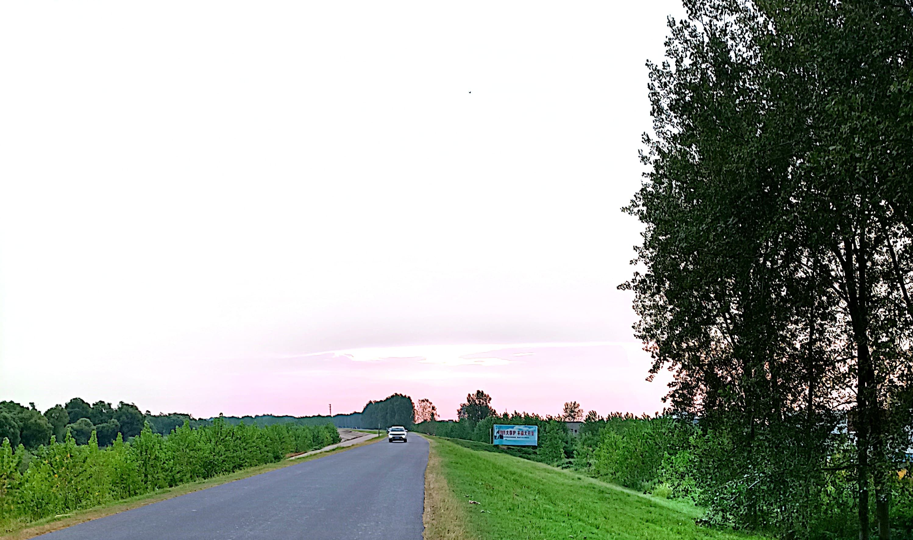 |新手小白钓鱼16口诀