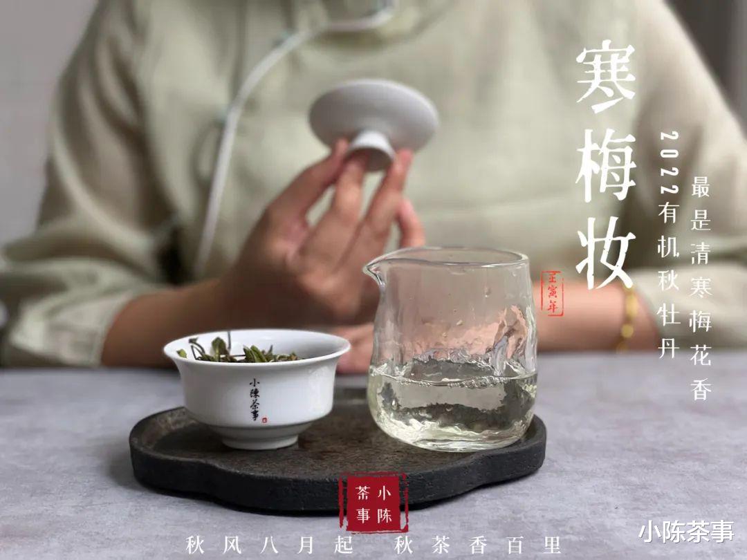 夏饮新茶，冬喝老茶，这个广为流传的白茶季节谱，有没有道理？