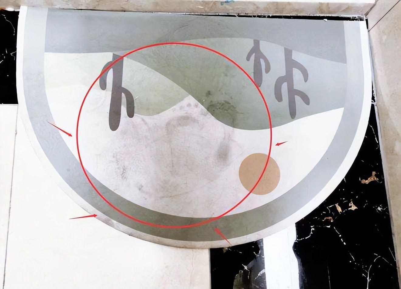 自从卫生间添置了“它们”,不仅异味少了,清洁也变简单了