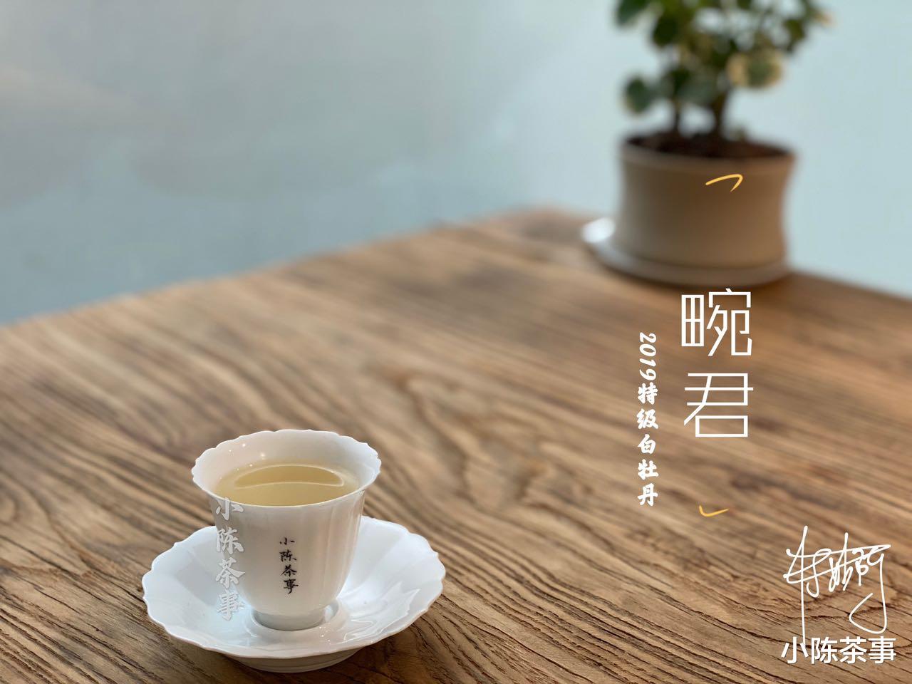 存了3年，药香、枣香啥也没有，这样的老白茶到底哪里出了问题？