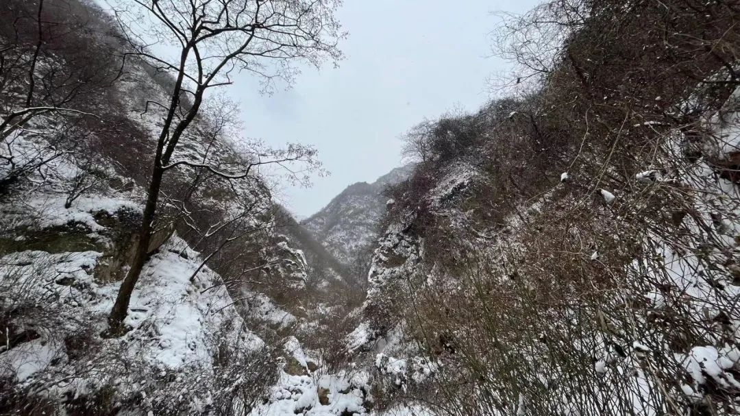 小年夜|小年夜，终南山有雪