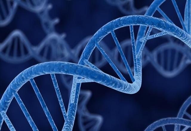 降血脂|退休医生呼吁:寿命长不是靠多走路和多睡觉,而是坚持这2件小事